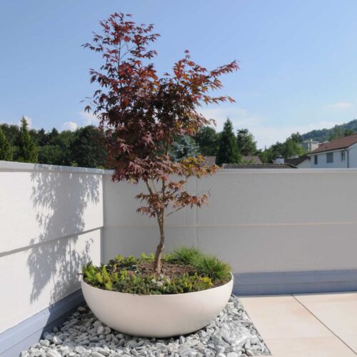 Bonsai Planter Landscape Material: Fiber Cement Finish: White