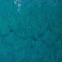 Indigo Rain Indigo Rain