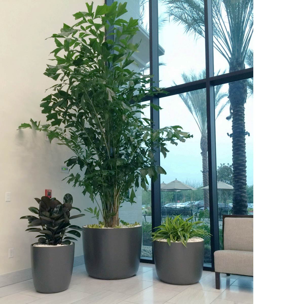 Kyoto Container Interior Planters Material: Fiber Cement Finish: Anthracite