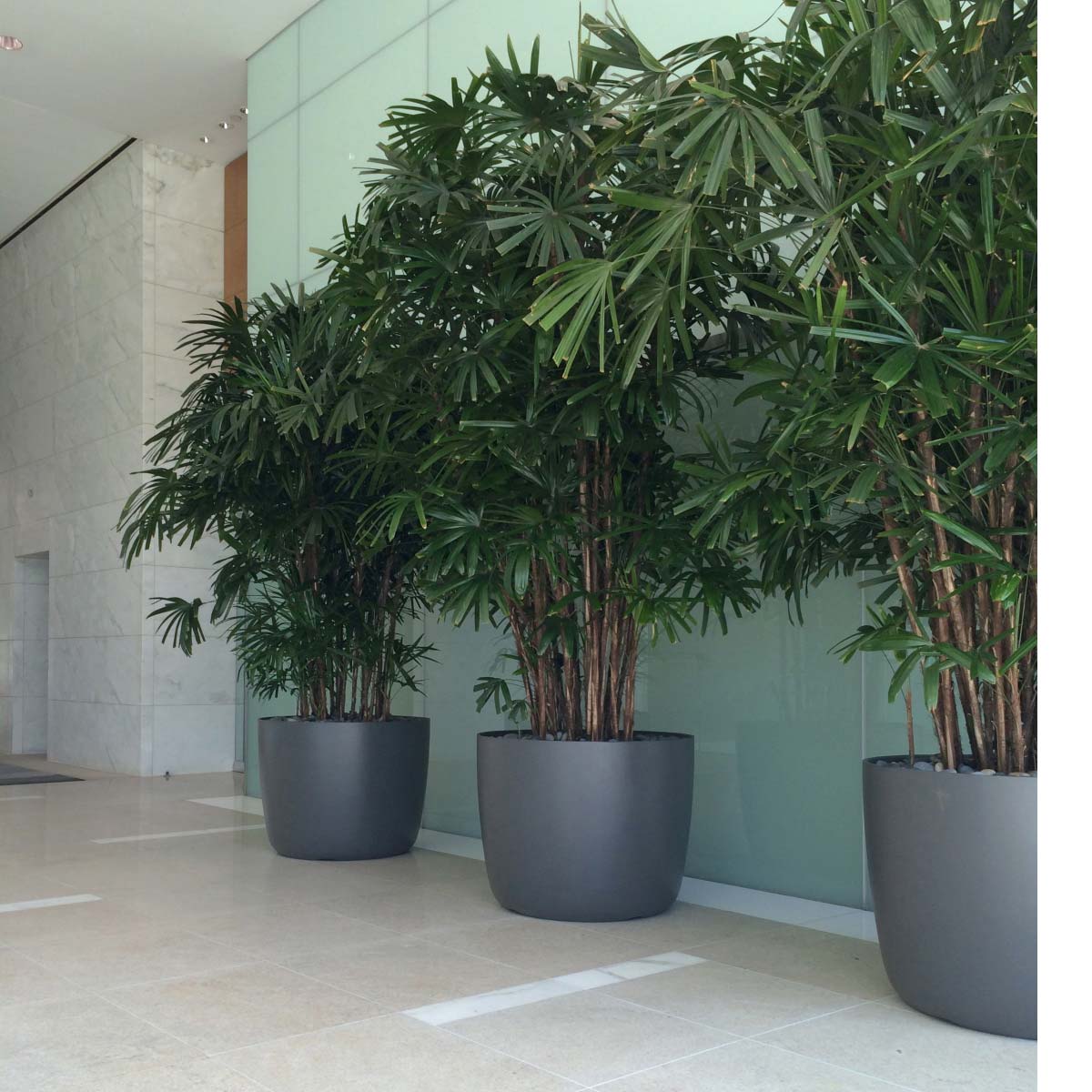 Kyoto Container Interior Wall Material: Fiber Cement Finish: Anthracite