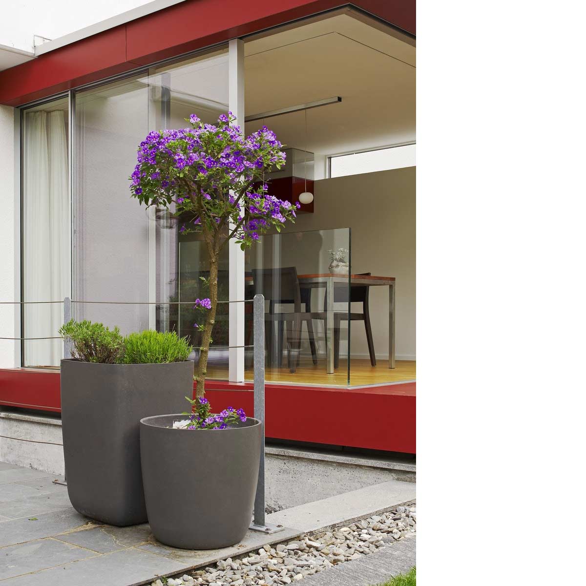 Kyoto And Samurai Containers Storefront Material: Fiber Cement Finish: Anthracite