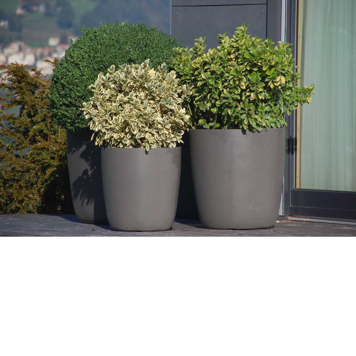 Kyoto Container Pairing Material: Fiber Cement Finish: Anthracite