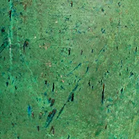 Rustic Green Rustic Green