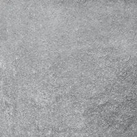 Snow Monkey Snow Monkey