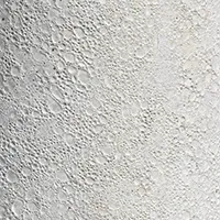 White Coral White Coral