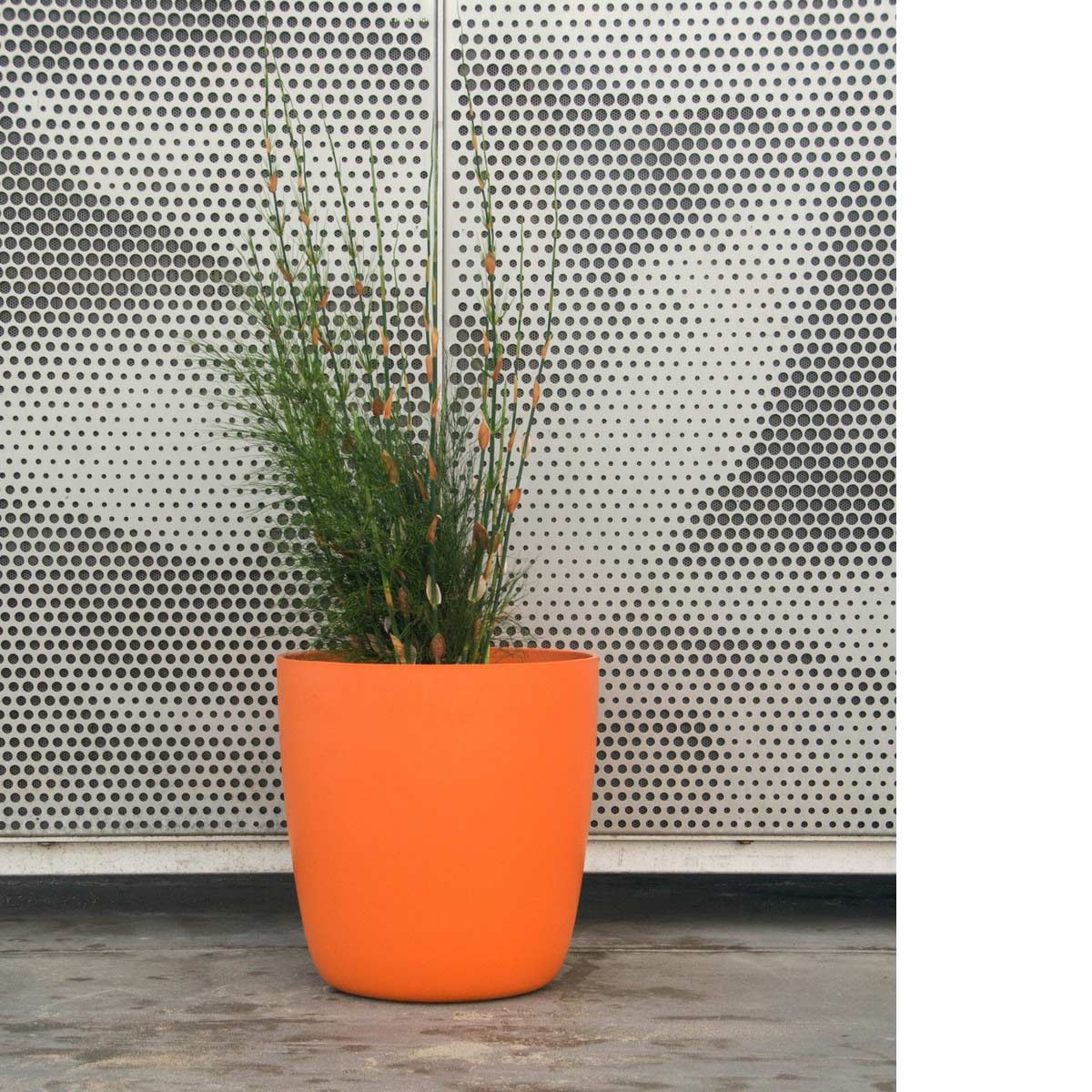 Kyoto Container Custom Finish Material: Fiber Cement Finish: Orange