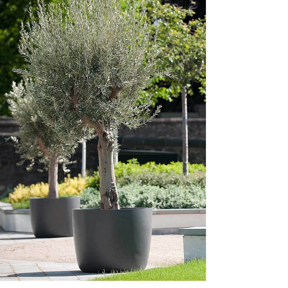 Kyoto Container Landscape Material: Fiber Cement Finish: Anthracite
