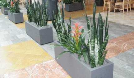 Mall Planters Aluminum aluminum planters are a great choice anywhere