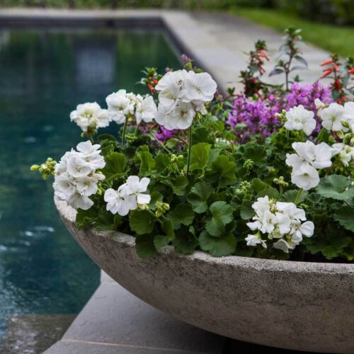 Textured Zen Bowl Planter Detail (cast Stone In Greystone) cast stone, garden, contemporary, planter, bowl